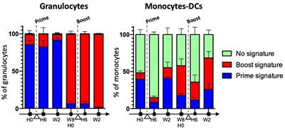 Optimize Prime/Boost Vaccine Strategies: Trained Immunity as a New Player in the Game